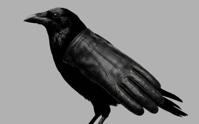Perception test: a crow or a glove is hidden in this image – what does your first glance reveal?