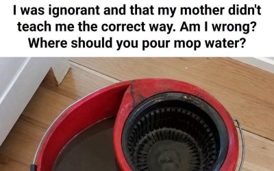 Where to Dispose of Dirty Mop Water: Toilet or Bathtub?