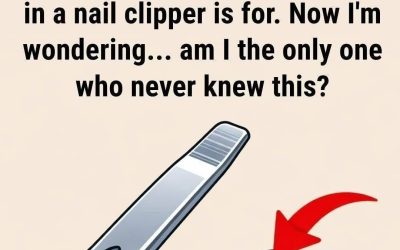 The “small round hole” on the nail clipper has special and powerful uses!!
